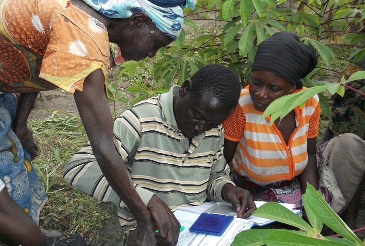 Appui aux agriculteurs paysans par notre Agronome